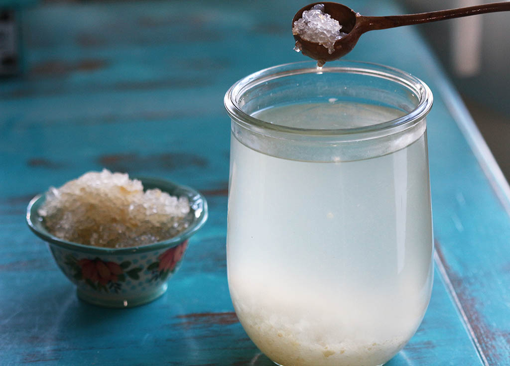 Coconut water kefir 6