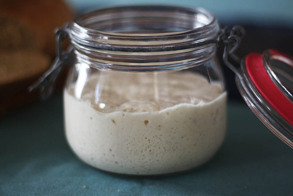 white sourdough starter