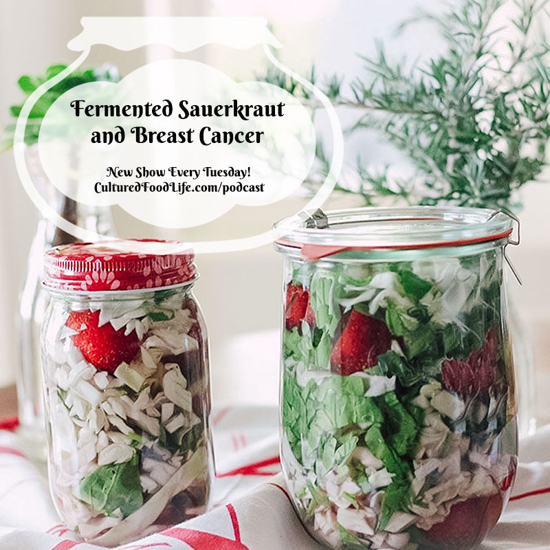Episode 83 Fermented Sauerkraut and Breast Cancer Cultured Food Life