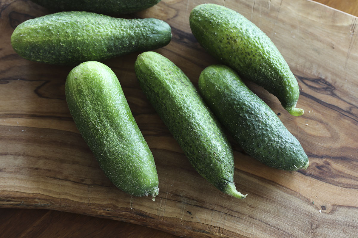 cucumbers2