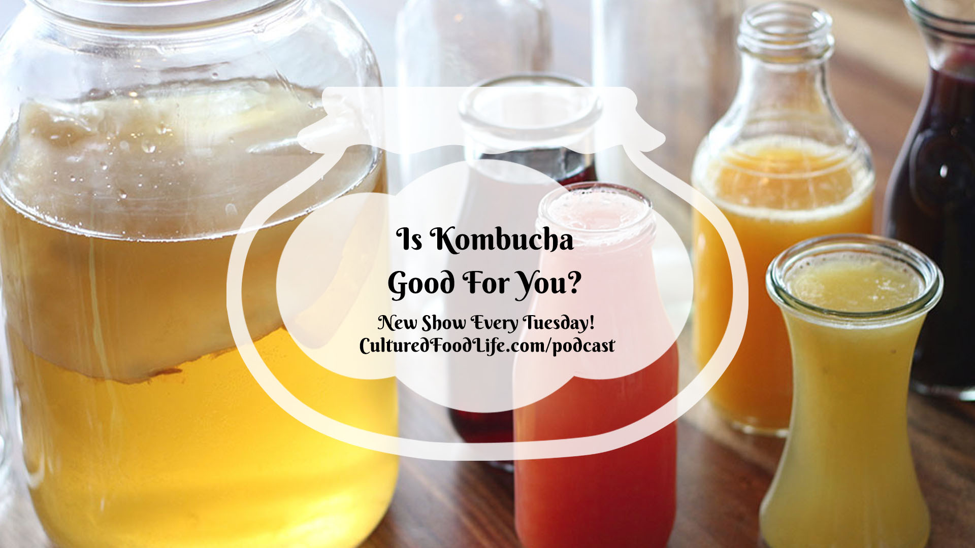 Episode 98 Is Kombucha Good For You? Cultured Food Life