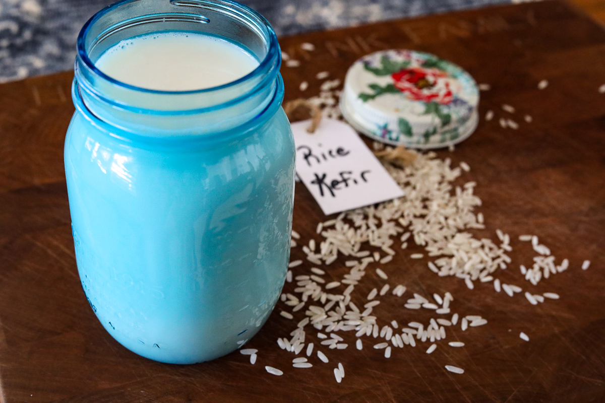 Rice Kefir