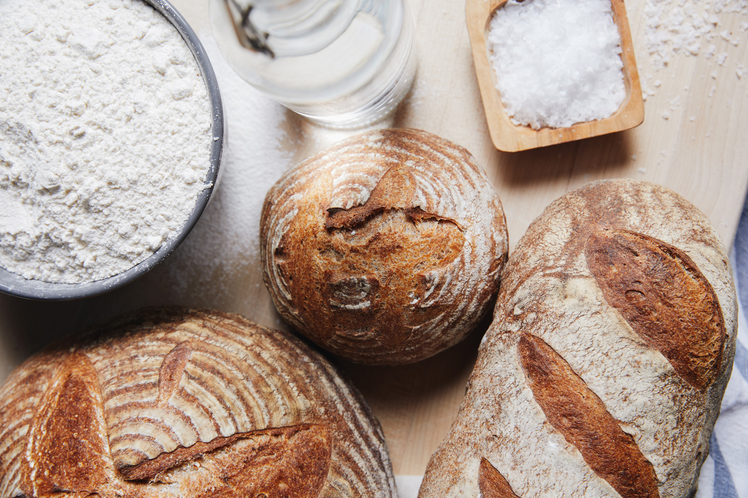 Learn about The Trilogy at the Sourdough Bread Festival Cultured Food