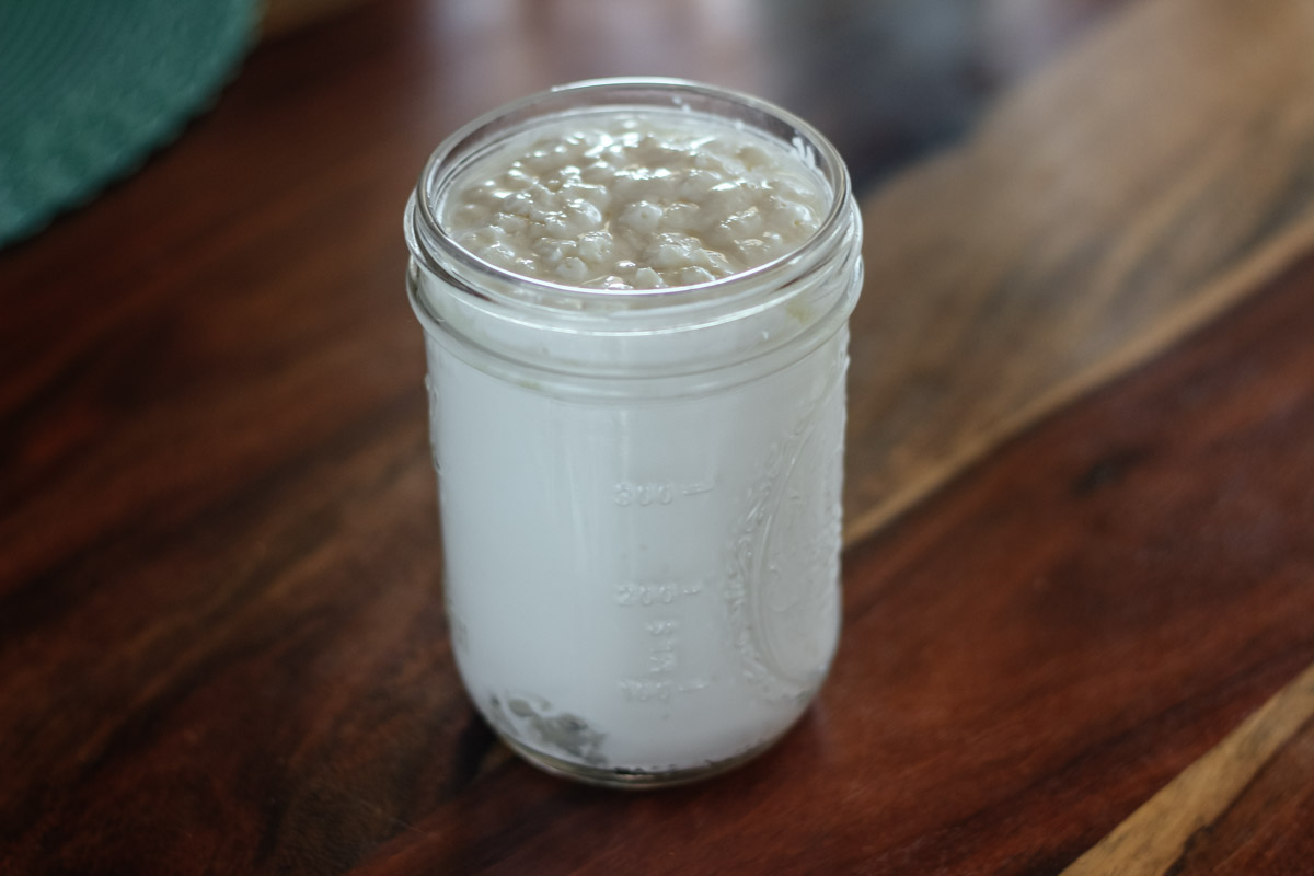 Kefir Grains in a jar