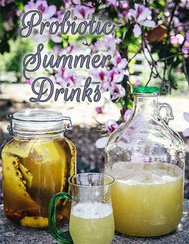 Probiotic-Summer-Drinks-2020 Probiotic-Summer-Drinks-2020