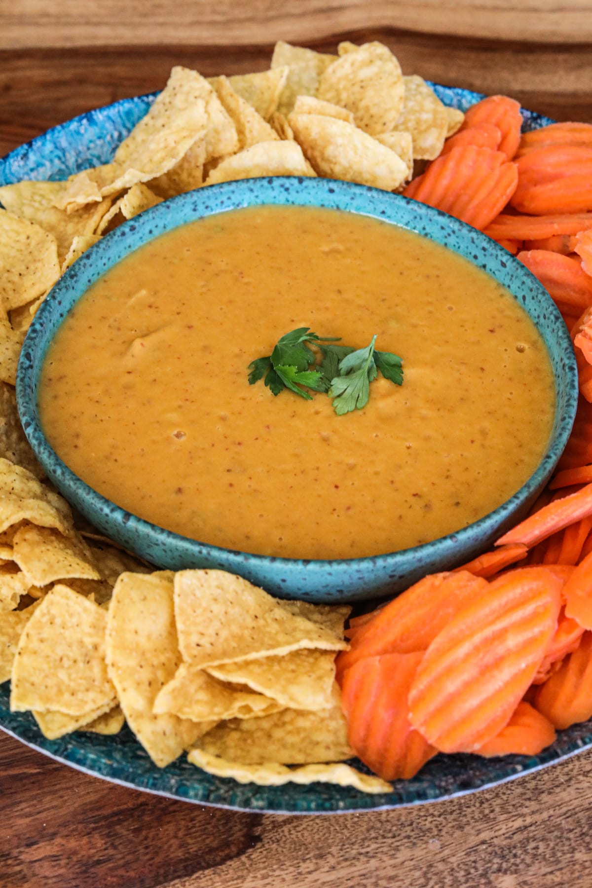 Prebiotic queso dip V-2