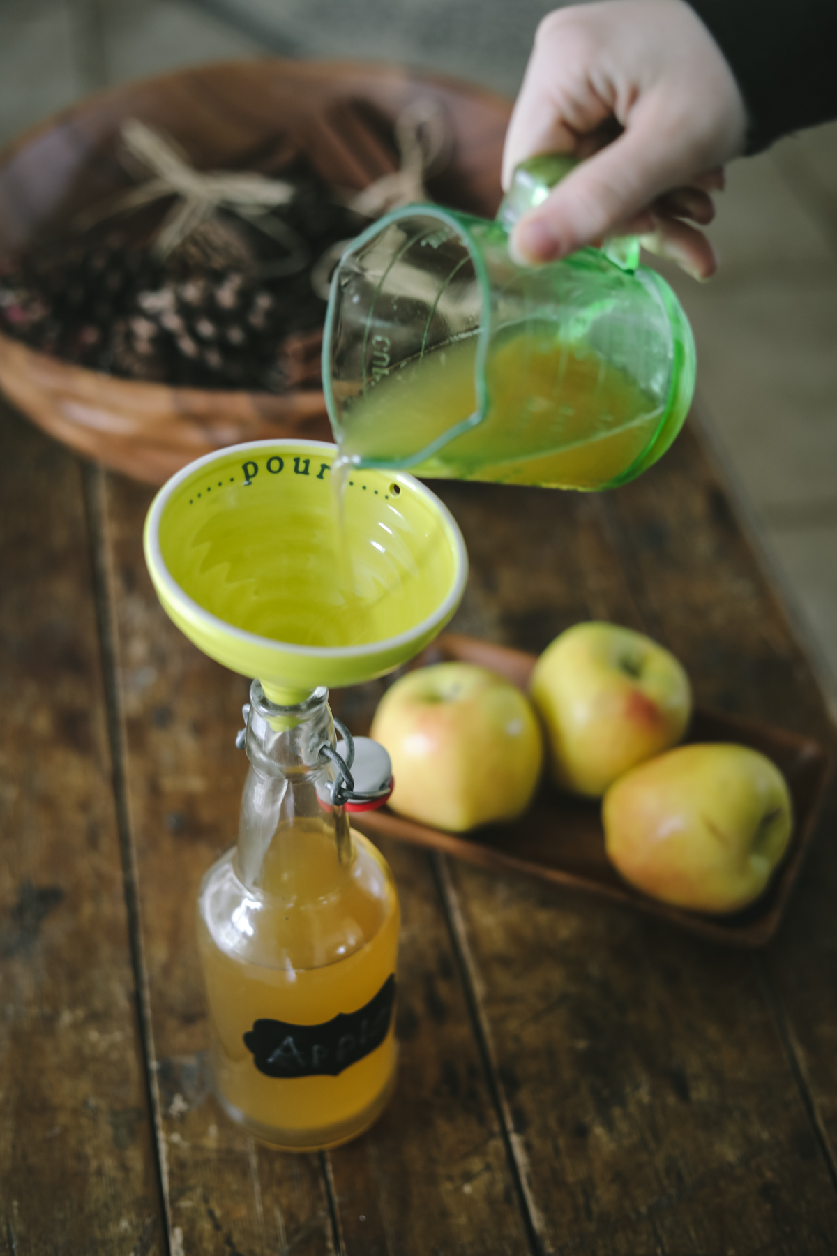 apple kombucha