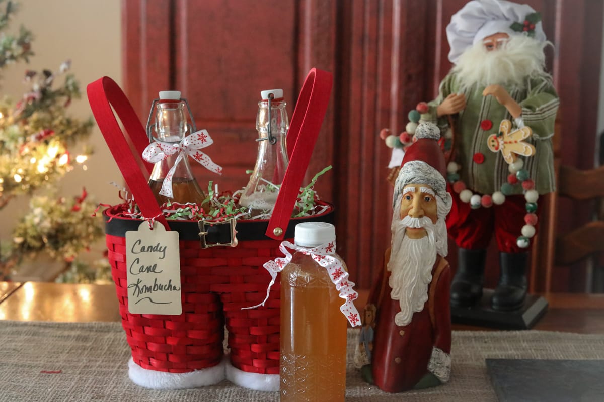 Candy Cane Kombucha-2 Candy Cane Kombucha-2