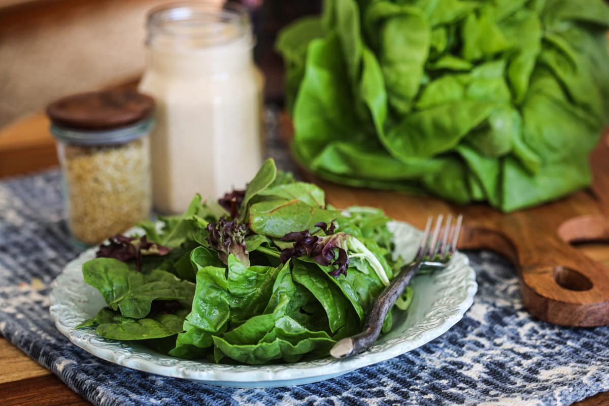 Everyday Salad-2 Everyday Salad-2
