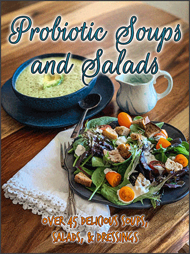 Probiotic-Soups-&-Salads-2021 Probiotic-Soups-&-Salads-2021