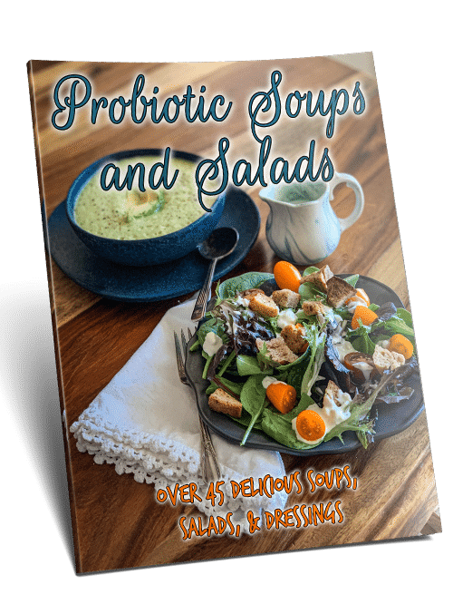 Probiotic Soups & Salads