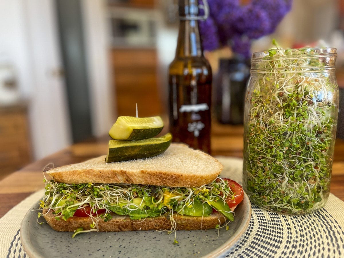 Sprouts and sandwich