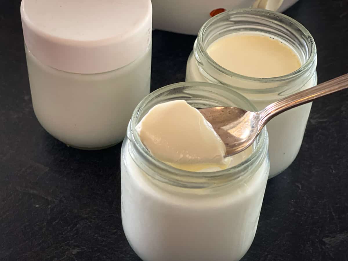 Raw milk yogurt.4 Raw milk yogurt.4