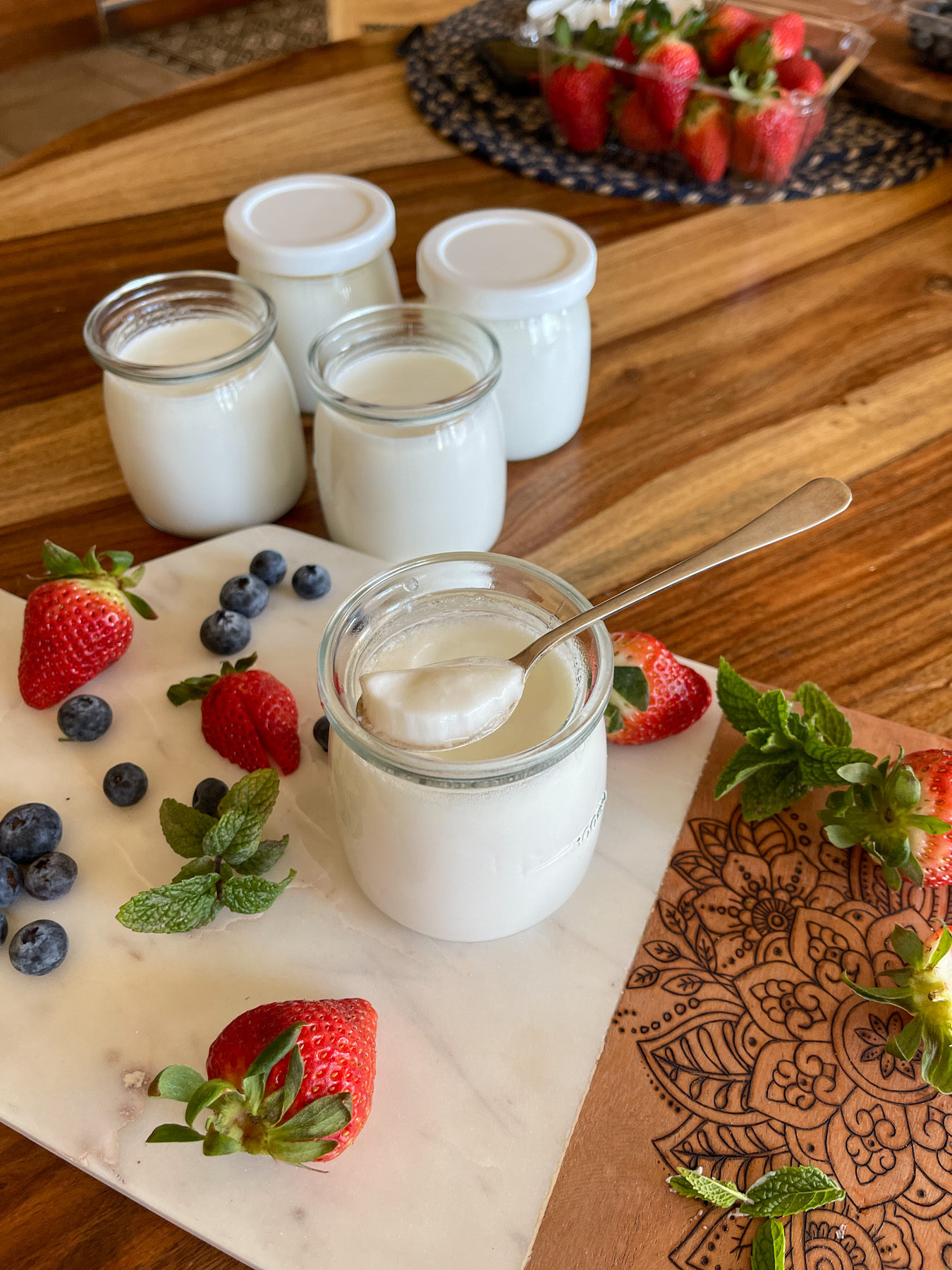 Digital Yogurt Maker - Cultured Food Life