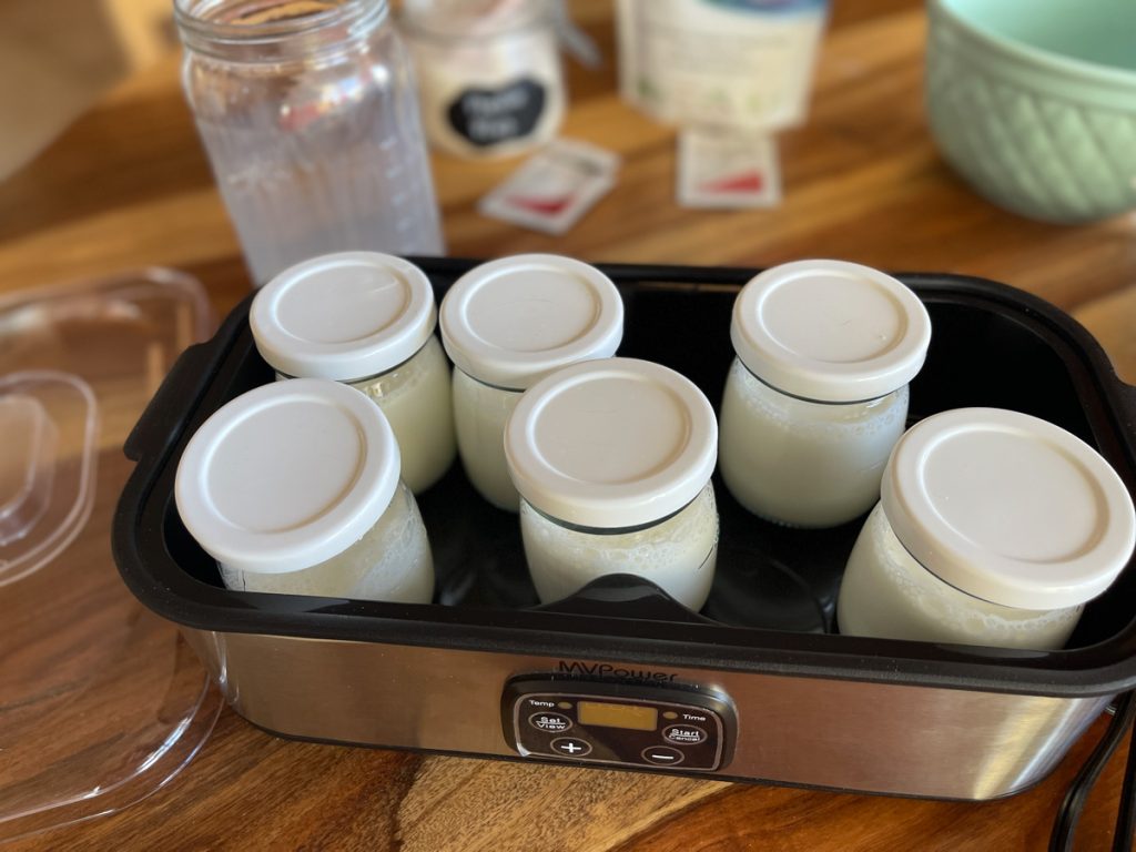 L. Reuteri Superfood Yogurt Cultured Food Life