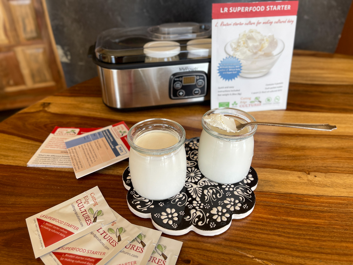 How to Make Super Cultured Dairy with L. Reuteri - Mary's Nest