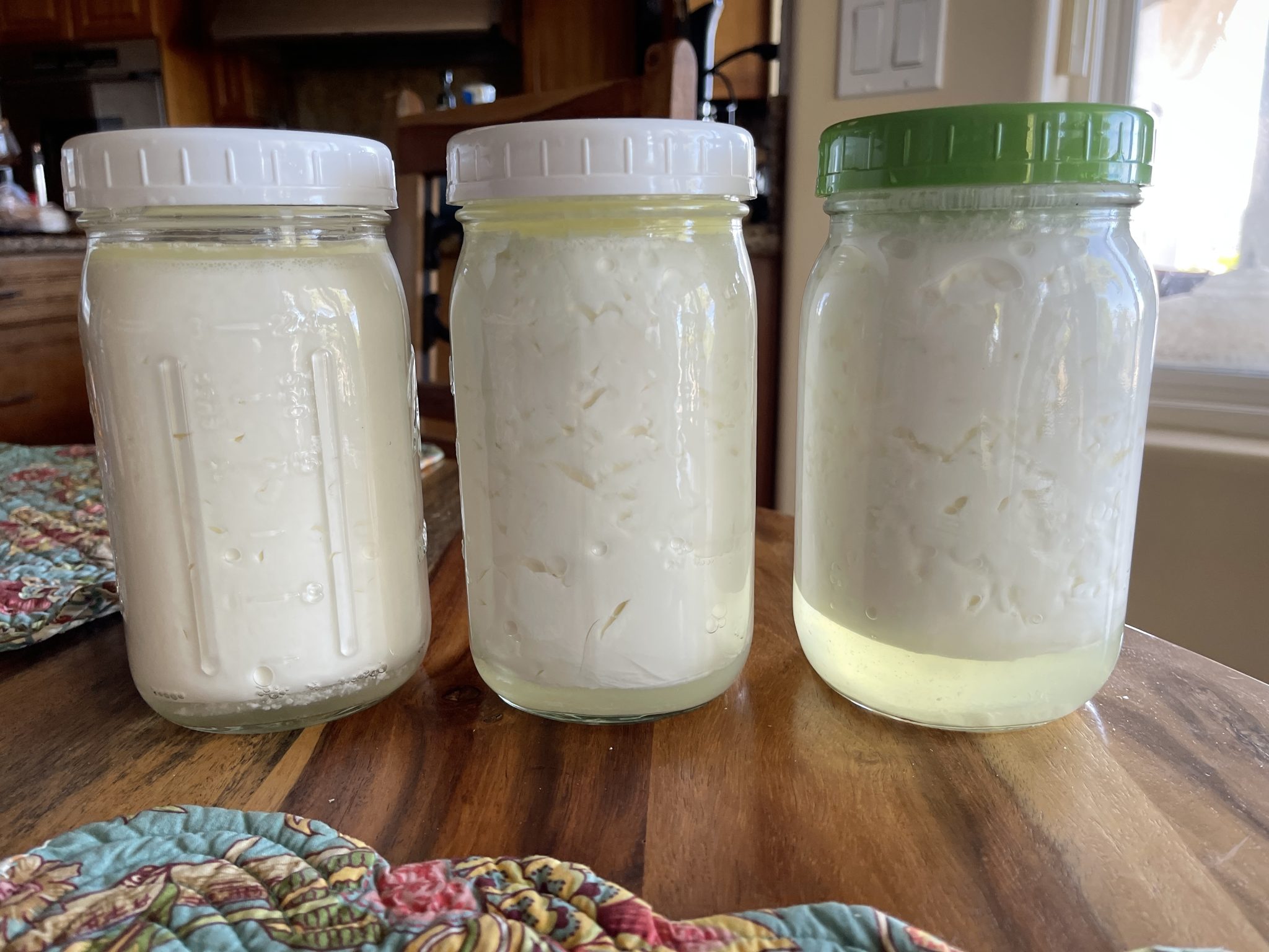 L-reuteri-3-jars-1 L-reuteri-3-jars-1
