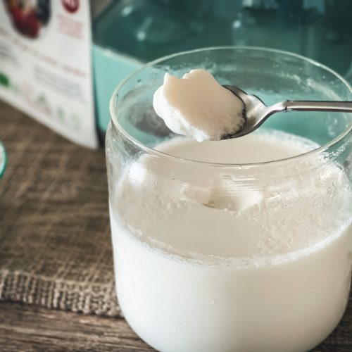 Sutech Yogurt Maker - Cultured Food Life