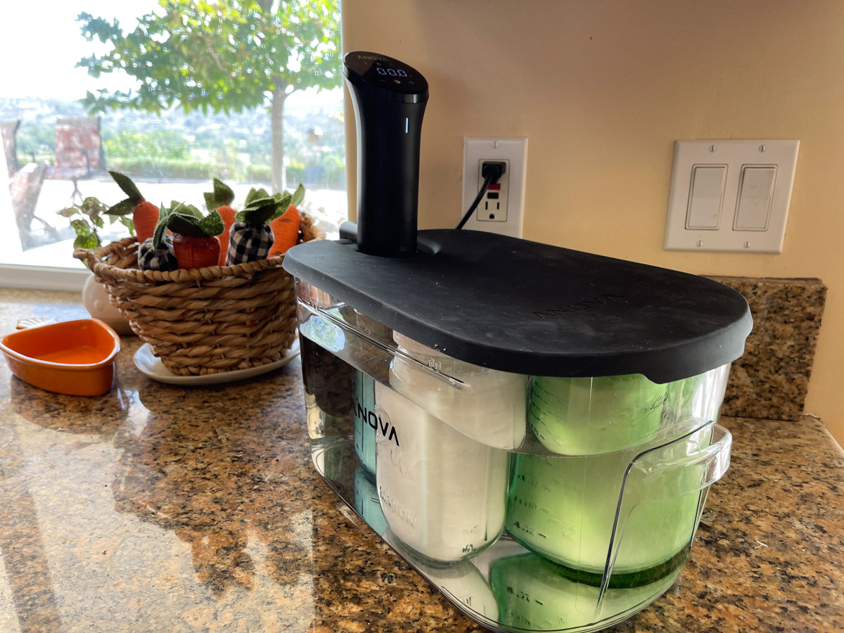 L. Reuteri Superfood Yogurt in a Sous Vide￼￼ - Cultured Food Life