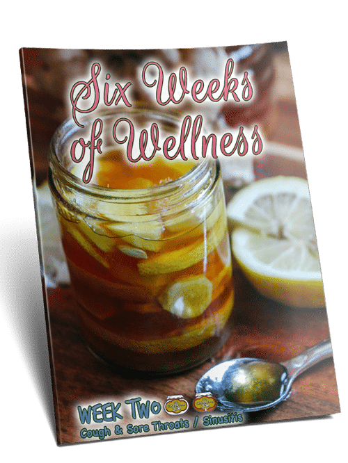 Six Weeks of Wellness - Week 2 - 2022