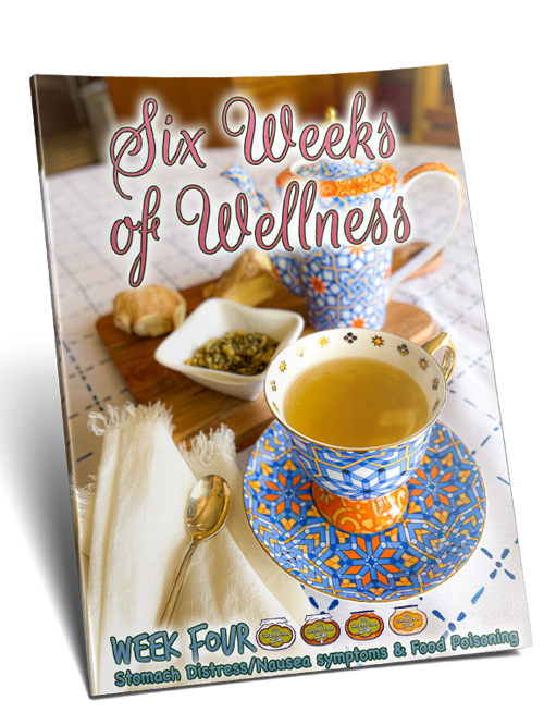 Six Weeks of Wellness - Week 4 - 2022