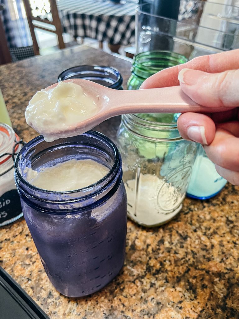 L. Reuteri Superfood Yogurt in a Sous Vide Cultured Food Life