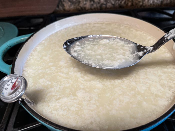 L. Reuteri Cottage Cheese Cultured Food Life