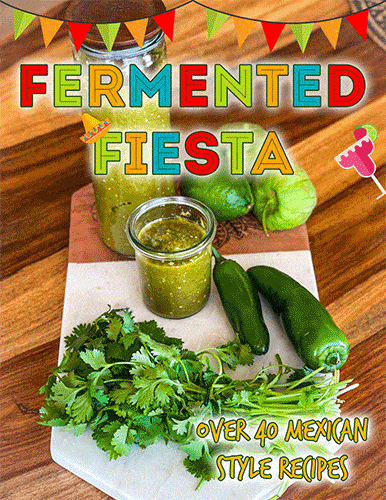 Fermented-Fiesta-2022