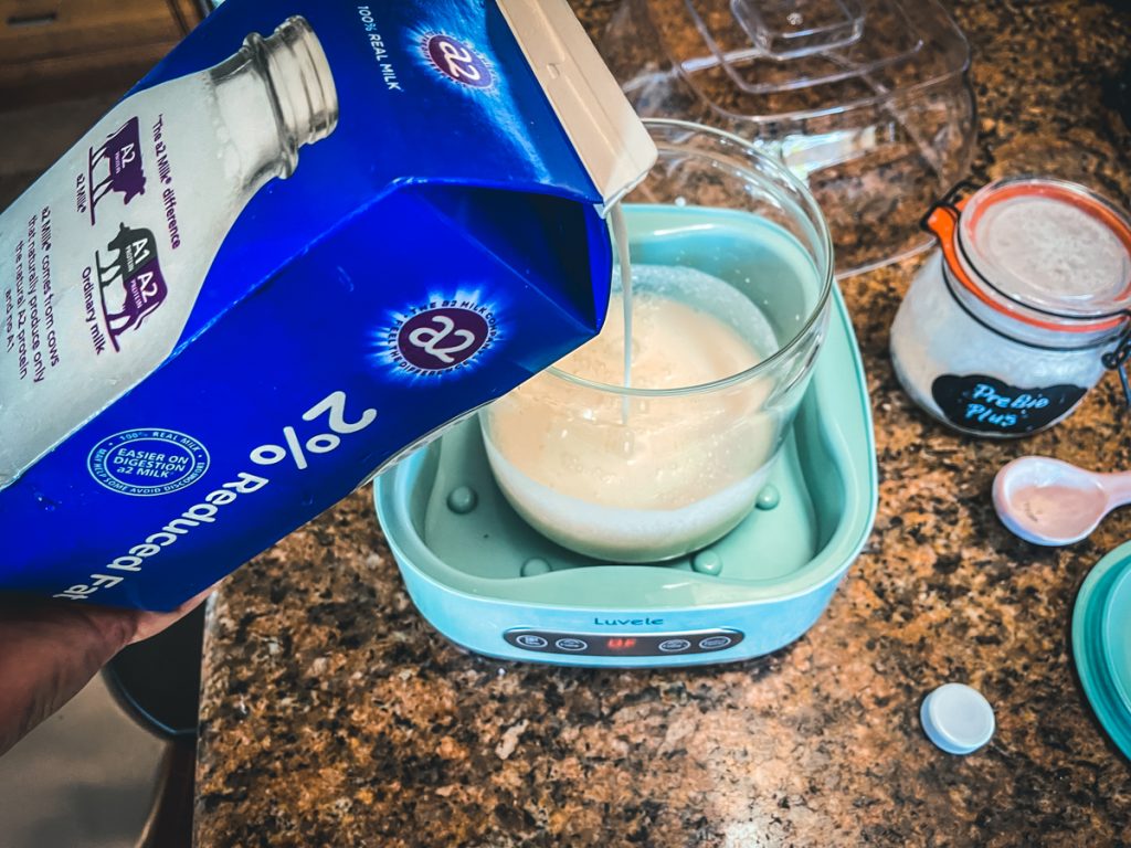 L Reuteri Yogurt Recultured Cultured Food Life