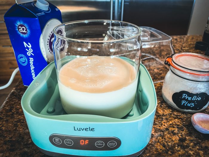 L. Reuteri Yogurt in Luvele Yogurt Maker Cultured Food Life