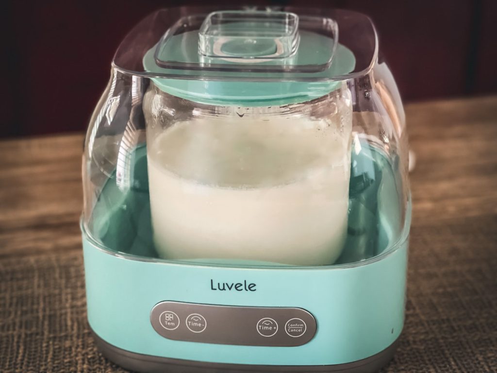 L. Reuteri Yogurt in Luvele Yogurt Maker Cultured Food Life