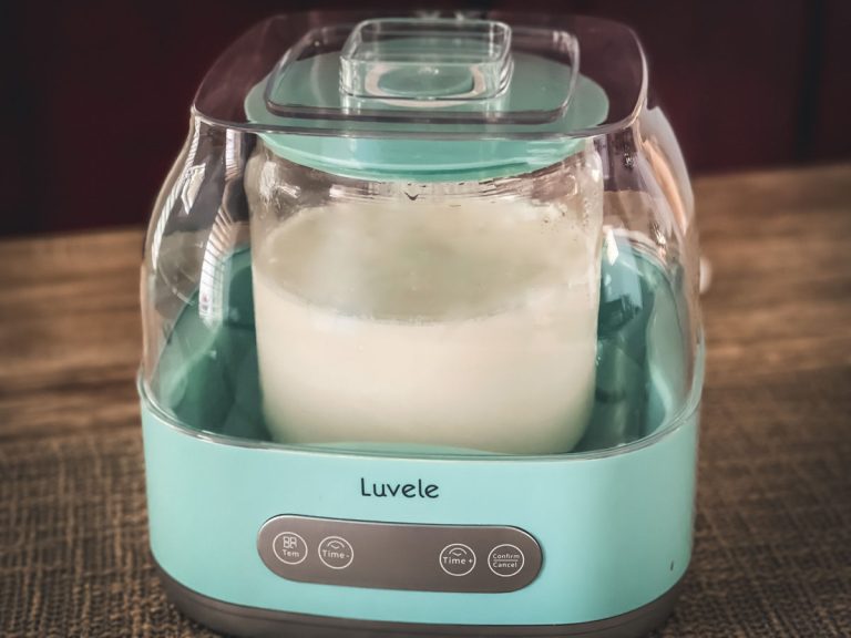 L. Reuteri Yogurt in Luvele Yogurt Maker Cultured Food Life