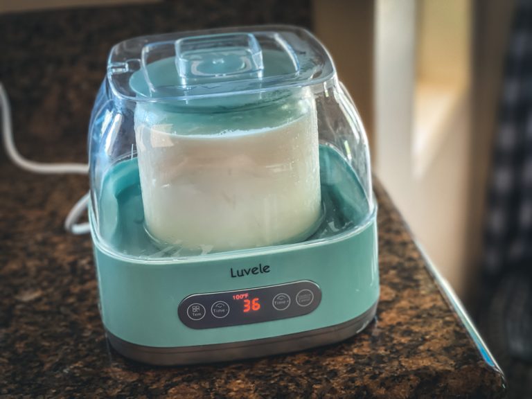L. Reuteri Yogurt in Luvele Yogurt Maker Cultured Food Life