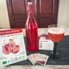 Kefir Soda Starter