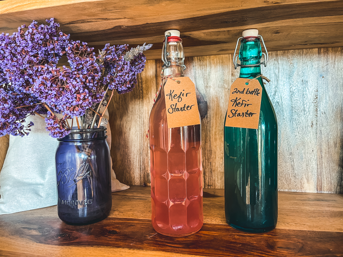 Kefir soda starter 3 bottles