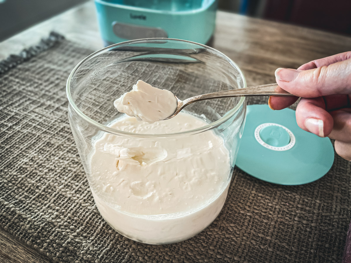 Digital Yogurt Maker - Cultured Food Life