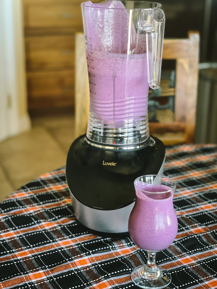 Luvele Vibe Blender Cultured Food Life