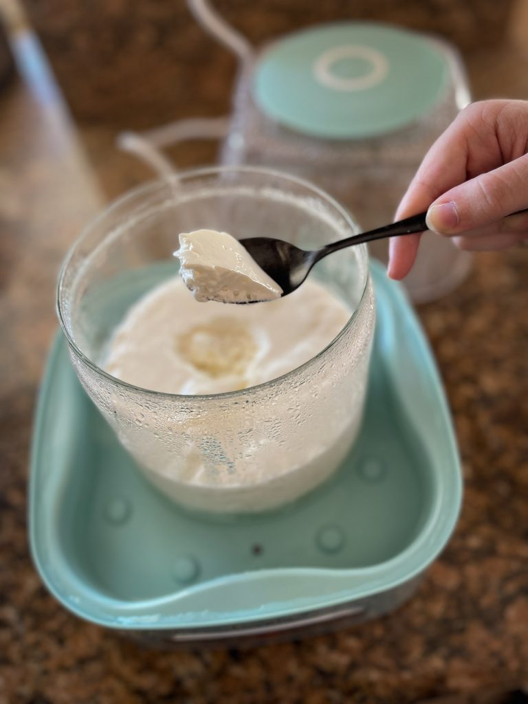 SIBO Yogurt — L Reuteri and L Gasseri Cultured Food Life