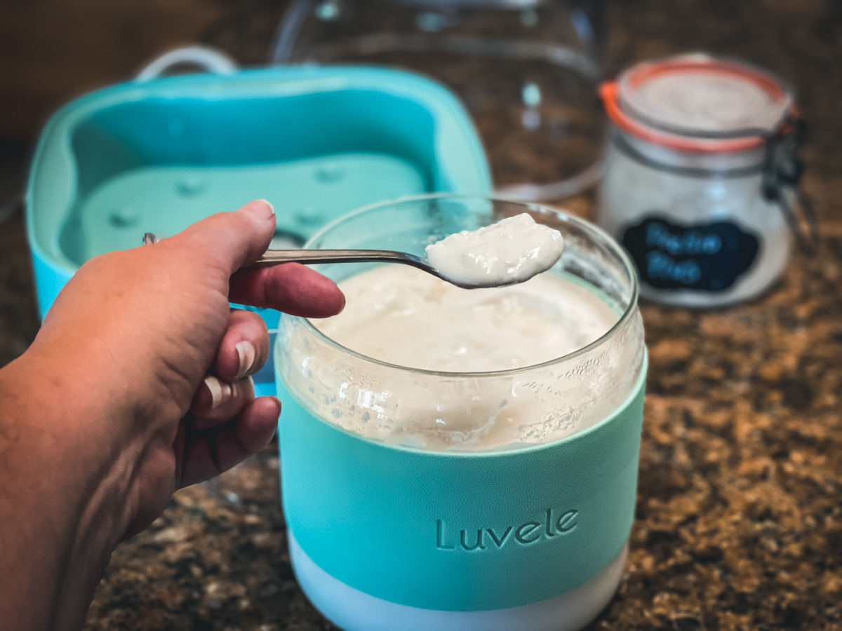 Luvele 2 Litre | (2.1qt.) Glass Yogurt Container | Compatible with Pure  Plus Yogurt Maker