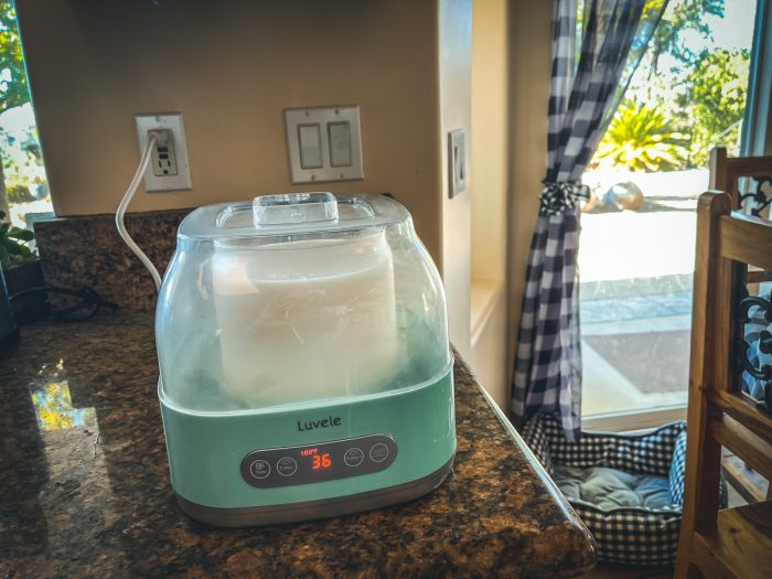 L. Reuteri Yogurt in Luvele Yogurt Maker Cultured Food Life