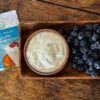 Bulgarian Yogurt Starter