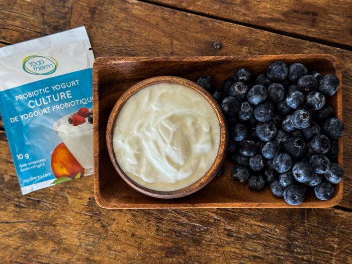 Bulgarian Yogurt Starter