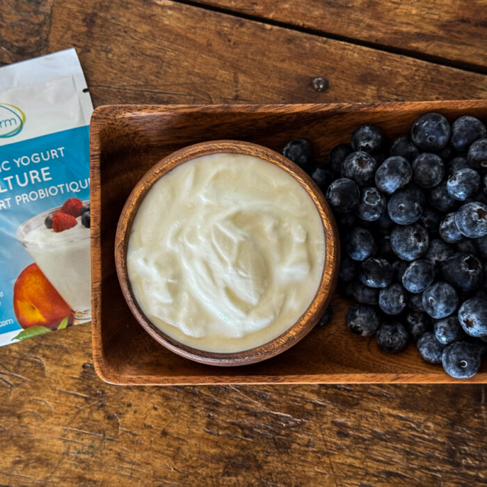 Bulgarian Yogurt Starter