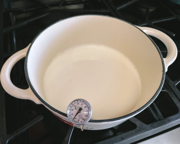 Bulgarian Yogurt Starter Cultured Food Life