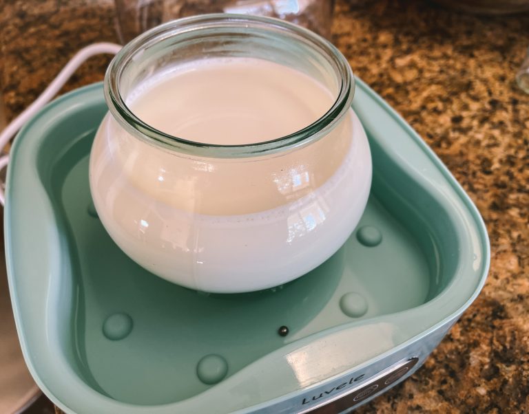 Bulgarian Yogurt Starter Cultured Food Life