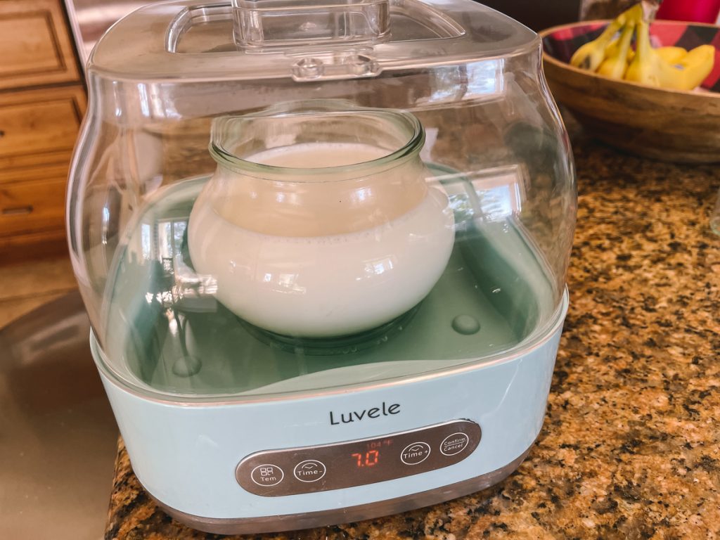 Bulgarian Yogurt Starter Cultured Food Life