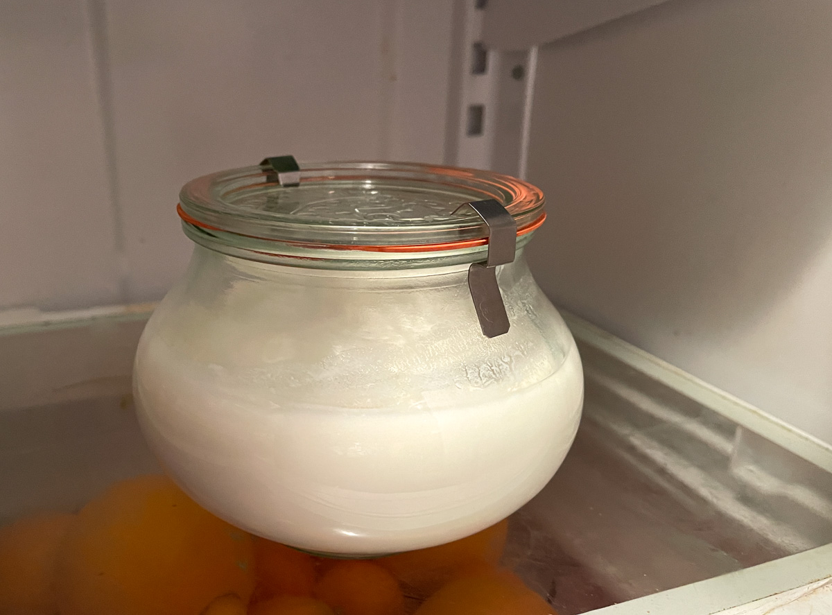 Bulgarian yogurt fridge