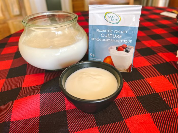 Bulgarian Yogurt Starter