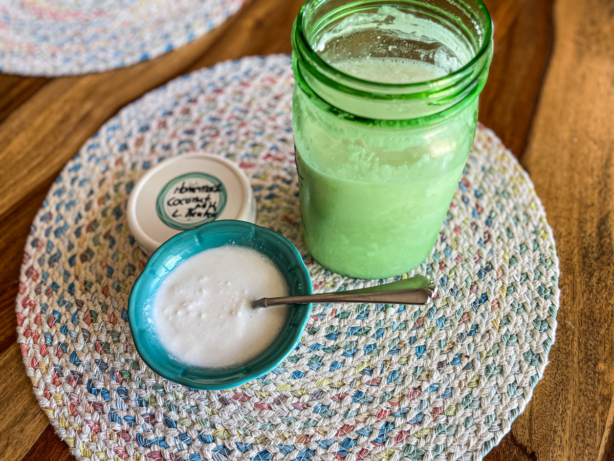 Homemade coconut yogurt discount