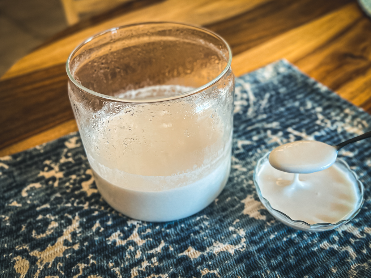 Homemade coconut milk Yogurt Plus 3-2